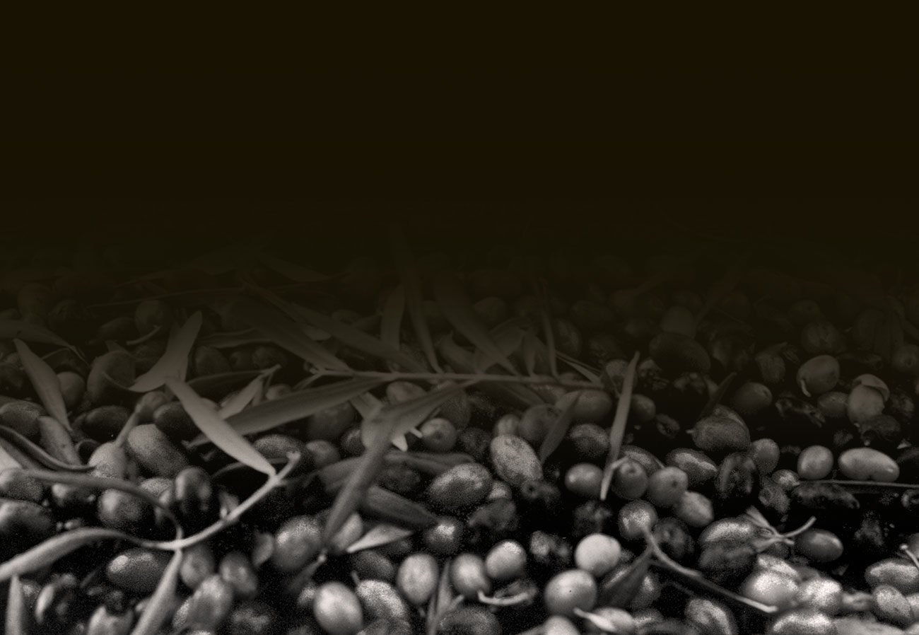 Collaborazione Olio EVO Barile